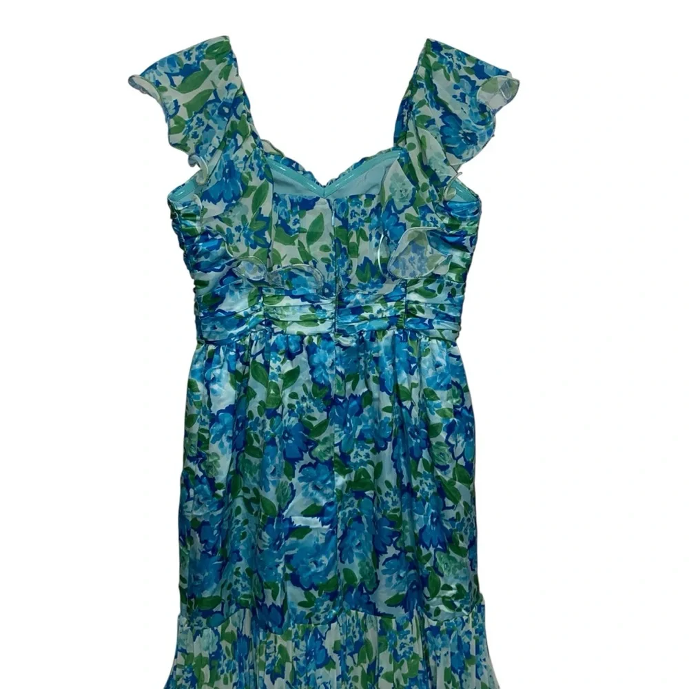 Amur Dress Womens Size 6 Pia Garden Blues Floral Pleated Tiered Midi Cottage - Picture 15 of 16